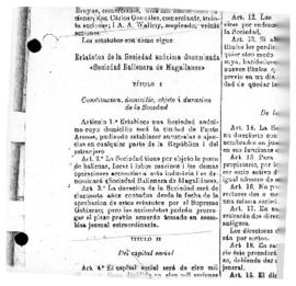 Statute of the Sociedad Ballenera de Magallanes (extract)