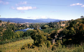 Farmland at Gretna, 1956