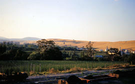 Low sun on Macquarie Plains