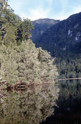 Southern shore of Lake Timk 1974