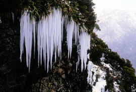 Icicles on Little Horn 85