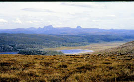 View across Lake Lea