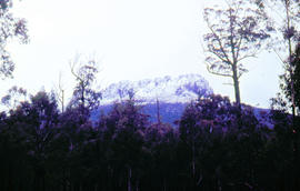 Snow cover on Stacks Bluff