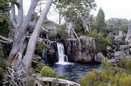 Waterfall at Pine Tree Creek