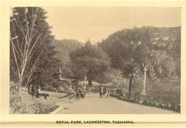 Royal Park, Launceston, Tasmania