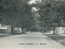 Tasman Highway, St. Helens