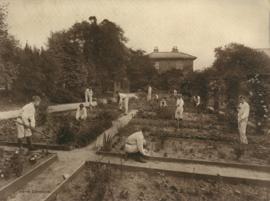 Photograph of the boys garden at Ackwoth School