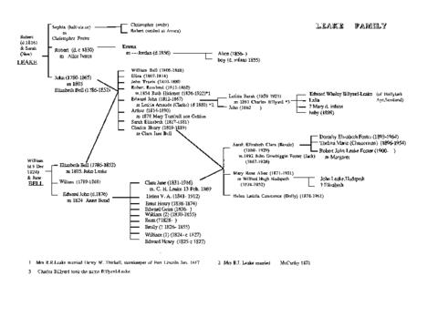 Open original Document numérique